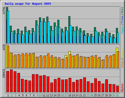 Daily usage for August 2025