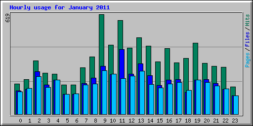 Hourly usage for January 2011