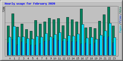 Hourly usage for February 2020