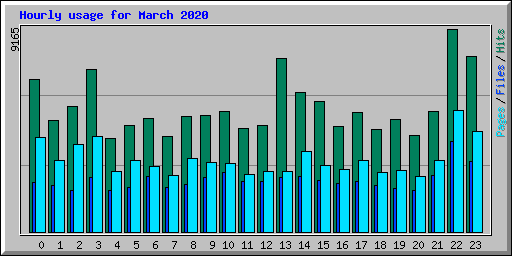 Hourly usage for March 2020