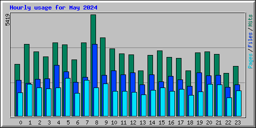 Hourly usage for May 2024
