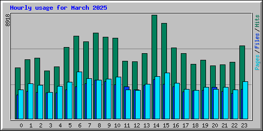 Hourly usage for March 2025