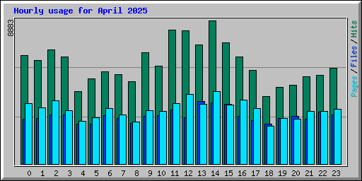 Hourly usage for April 2025