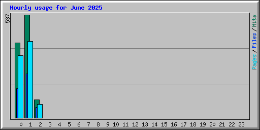 Hourly usage for June 2025