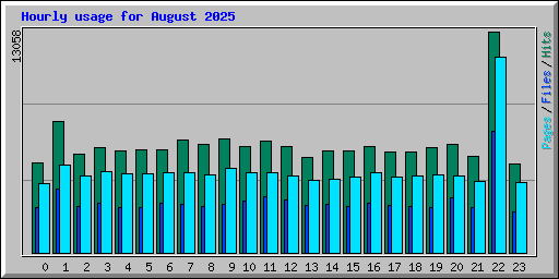Hourly usage for August 2025