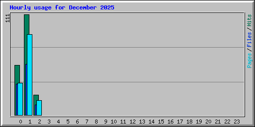 Hourly usage for December 2025