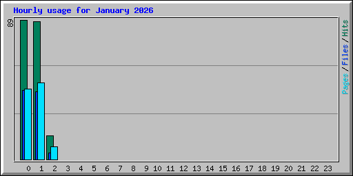 Hourly usage for January 2026